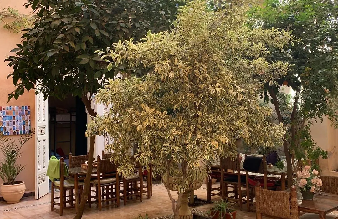 Hostel Laksour-1